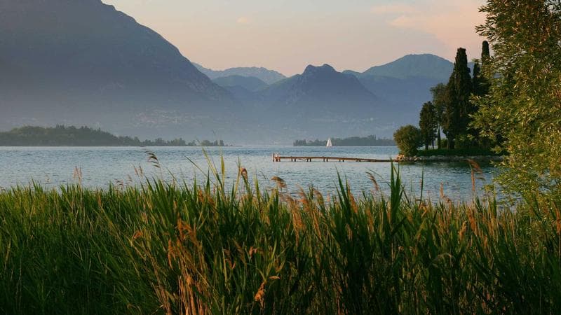 E-commerce SEO Specialist